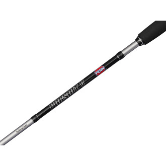 Pursuit V Inshore Spinning Combo