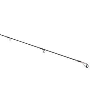 Salmonoid SG8