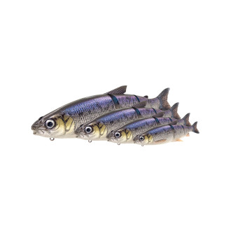 3D Line Thru Whitefish