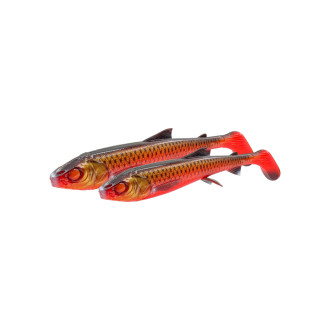 3D Whitefish Shad