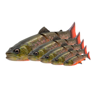 3D Line Thru Trout