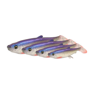 3D Herring Shad Bulk