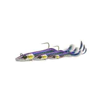 Conger Eel