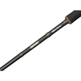 Beast X Casting Rod