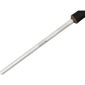 Beast X Trolling Spinning Rod