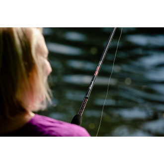 GX2™ Spinning Rod