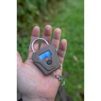 Compact Digital Scales