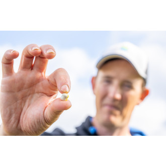 Sonubaits BandUm Sinkers