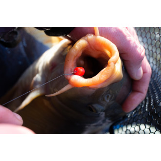 BandUm Wafters - Fluoro 8mm