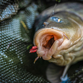 Korum Supersteel Allrounder Hooks