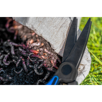 Worm Scissors