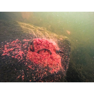 Camo River Method - 120G