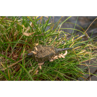 Camo Window Feeder - 45G