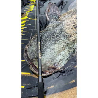 305m Battle Cat H C.W.: 220g W: 400g