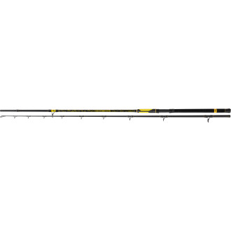 300m Perfect Passion XH-S C.W.: 600g W: 462g