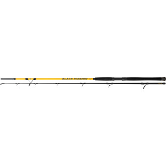 240m Black Passion G2 Spin C.W.: 50-200g W: 275g