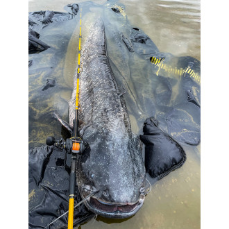 Cast 301 LH BB: 5 · 210m/ 033mm · Drag F. 12 kg / 264lbs