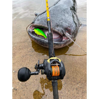 Cast 301 LH BB: 5 · 210m/ 033mm · Drag F. 12 kg / 264lbs