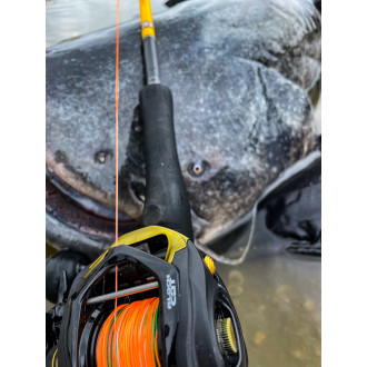 Cast 301 LH BB: 5 · 210m/ 033mm · Drag F. 12 kg / 264lbs