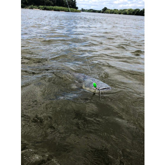 50g 16cm Cranker special green sinking