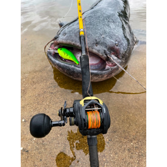 50g 16cm Cranker special green sinking