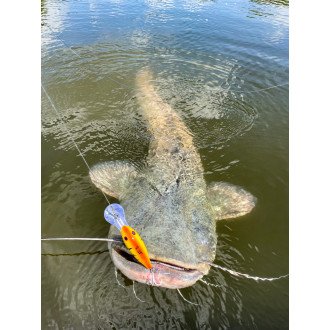 50g 16cm Cranker special green sinking