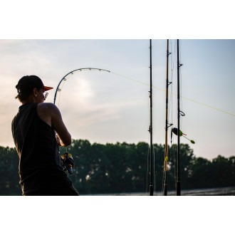 Ø 038mm Zeus Line G2 L: 250m 37kg / 81lbs yellow