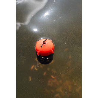 Floating Feeder