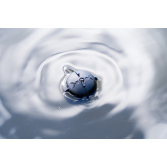 Floating Feeder