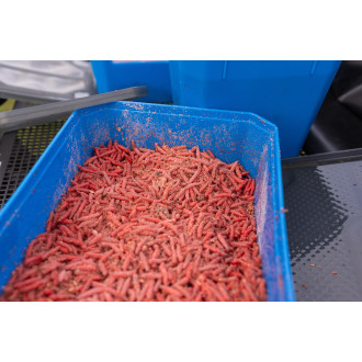 6Pt Bait Tub