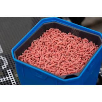 2Pt Maggot Riddle