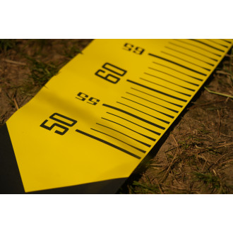 Cat Measure