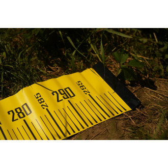 Cat Measure