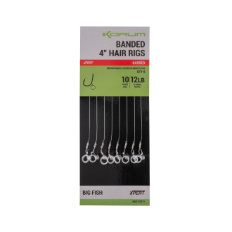 Banded Hair Rigs