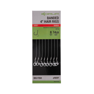 Banded Hair Rigs