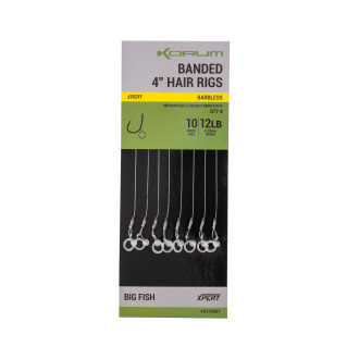 Banded Hair Rigs