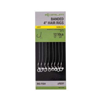 Banded Hair Rigs