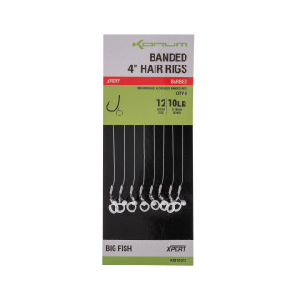 Banded Hair Rigs