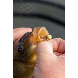 Spikeum Wafter Meaty Mussel