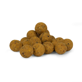 B8-Up Cream 20mm 5kg
