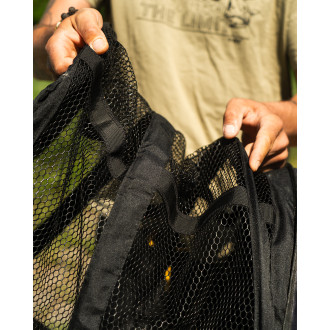 Baitfish Tunnel