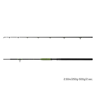 Prut Delphin Energy Catfish 2,80m 250-500g 2díly