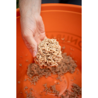 Maggot Glue 300g