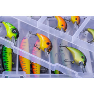 Trophy Double Decker Box L23 W16 D6cm