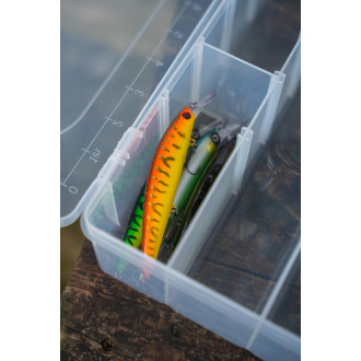 Trophy Box Medium 2 L28 W19 H4.5cm Clear