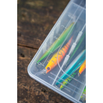 Trophy Box Medium 2 L28 W19 H4.5cm Clear