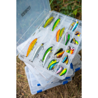 Trophy Box Medium 2 L28 W19 H4.5cm Clear