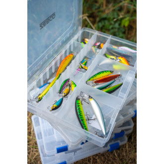 Trophy Box Medium 3 L28 W19 H4.5cm Clear