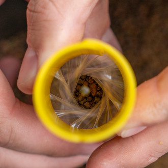 Transfer Solid Bag System