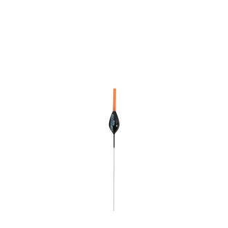 Carp Shallow - 4X16